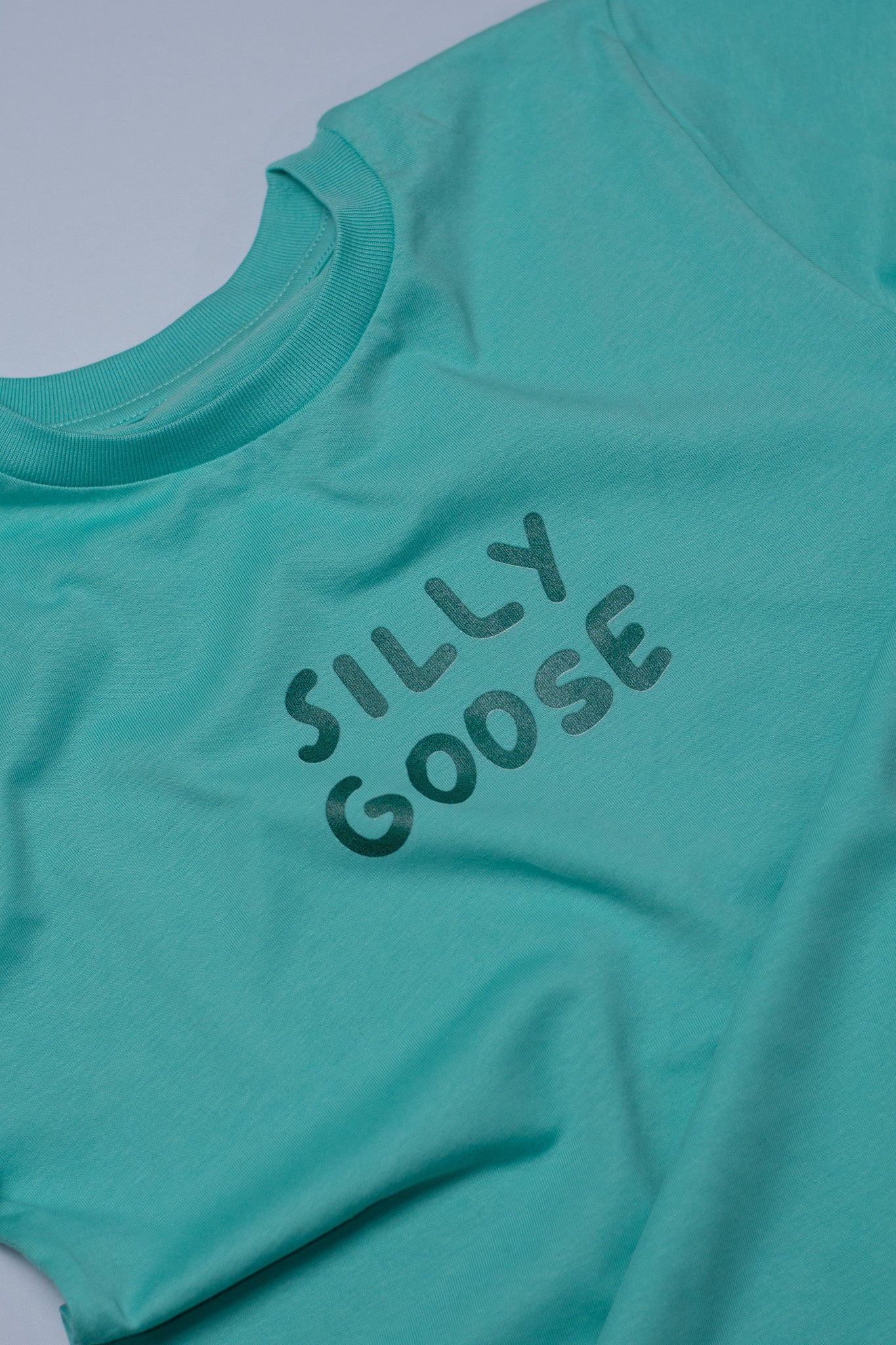 Teal t-shirt with 'SILLY GOOSE' text on a light gray background