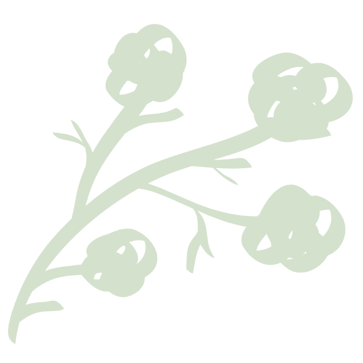 Decorative floral design in light green on a white background