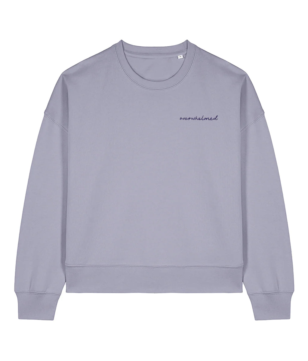 Light purple sweatshirt with text on a white background